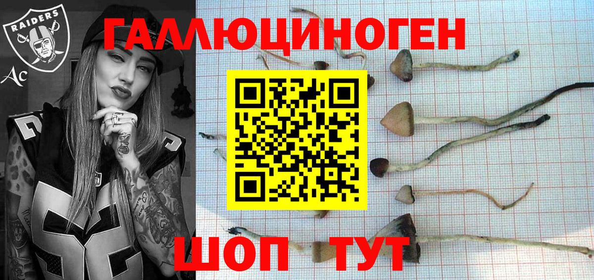 Псилоцибиновые грибы MAGIC MUSHROOMS  Псилоцибиновые грибы Cubensis  Зима  Вход с VPN 
